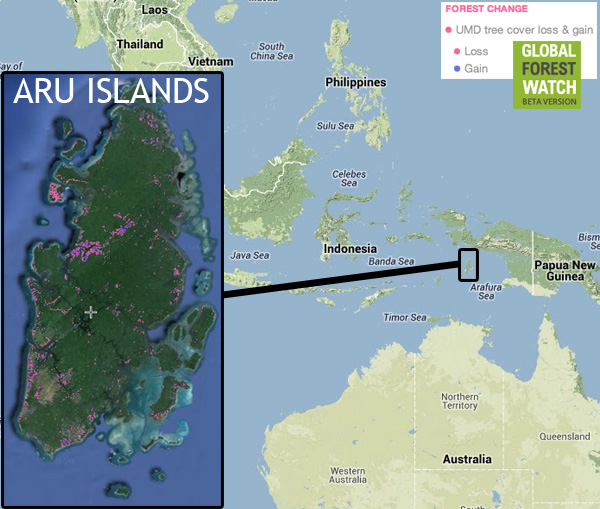 Map of Aru locality